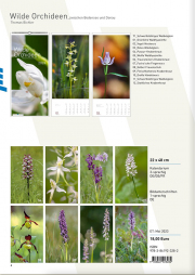 Orchideen-2024_1000