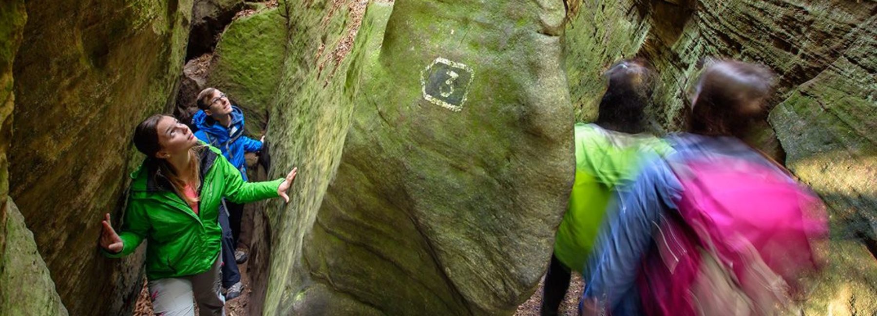 Felsen im Müllerthal und den Vogesen