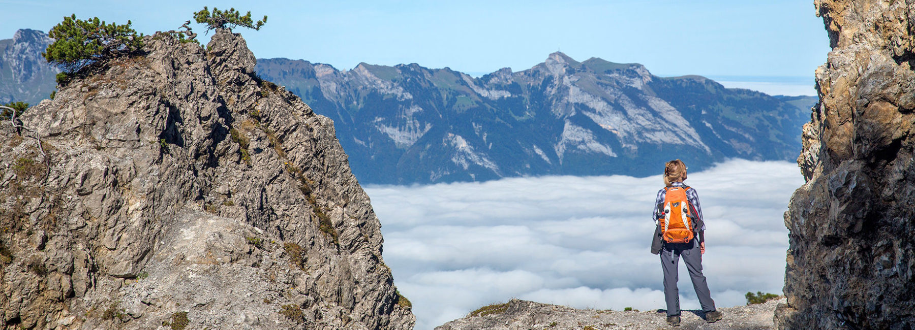 Auf dem Dach des Fürstentums
