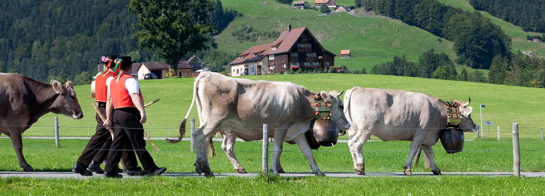 Spieglein, Spieglein … wer ist die Schönste im ganzen Land?